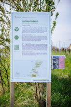 Lade das Bild in den Galerie-Viewer, Rebstockpatenschaft im Gimmeldinger Kapellenberg