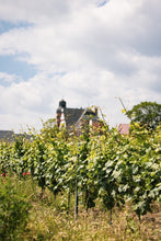 Lade das Bild in den Galerie-Viewer, Rebstockpatenschaft im Gimmeldinger Kapellenberg